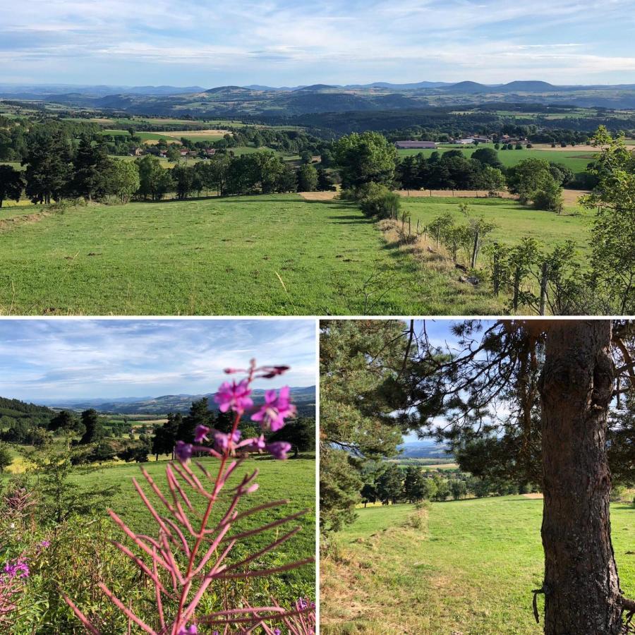 Le Marconnes Bed & Breakfast Saint-Arcons-de-Barges Bagian luar foto