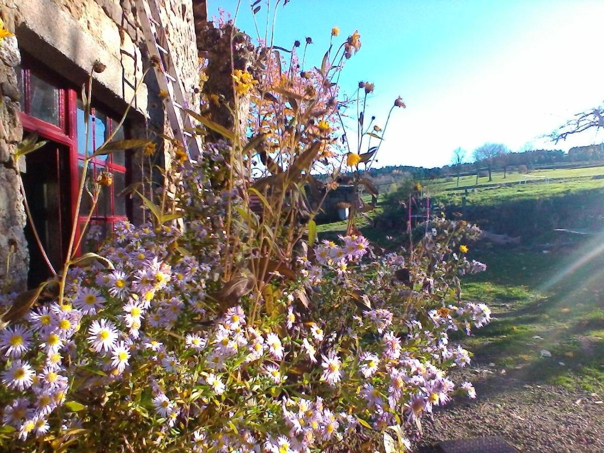 Le Marconnes Bed & Breakfast Saint-Arcons-de-Barges Bagian luar foto