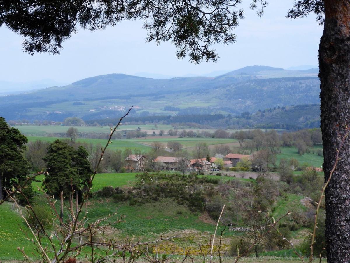 Le Marconnes Bed & Breakfast Saint-Arcons-de-Barges Bagian luar foto